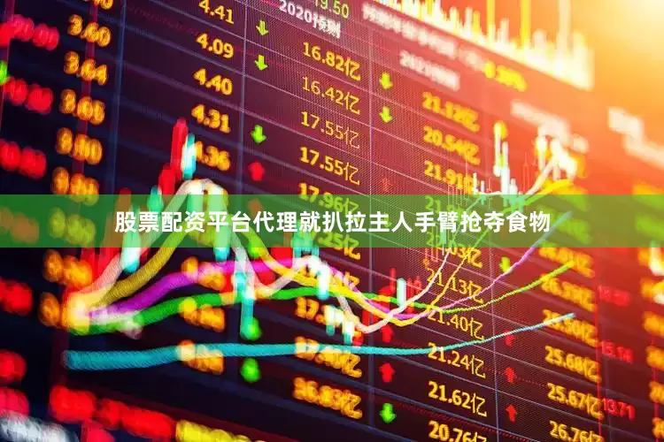 股票配资平台代理就扒拉主人手臂抢夺食物