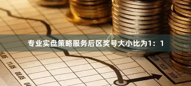 专业实盘策略服务后区奖号大小比为1：1