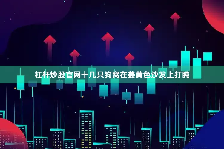 杠杆炒股官网十几只狗窝在姜黄色沙发上打盹