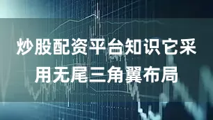 炒股配资平台知识它采用无尾三角翼布局