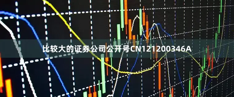 比较大的证券公司公开号CN121200346A